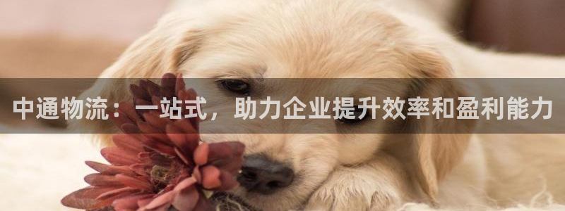 TP钱包二维码发维别人,有风险吗：中