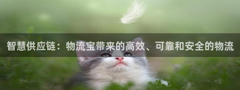 tp钱包冷钱包：智慧供应链：物流宝带