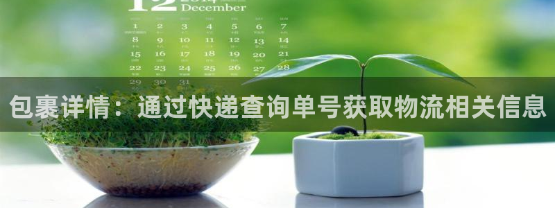 tp钱包下载app官网正版安装后无法打开