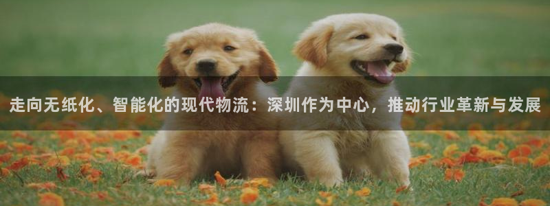 tp钱包下载