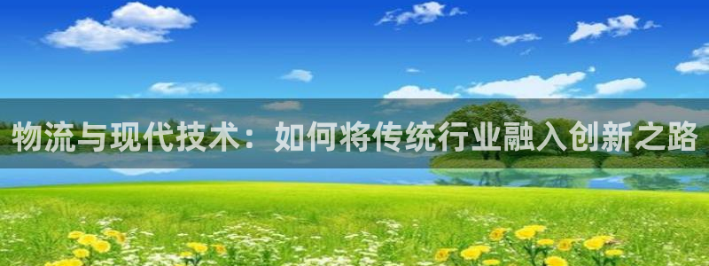 tp钱包有风险吗安全吗：物流与现代技