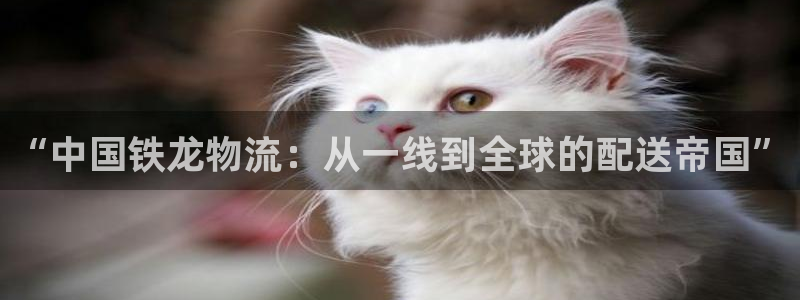 tp钱包如何转出usdt