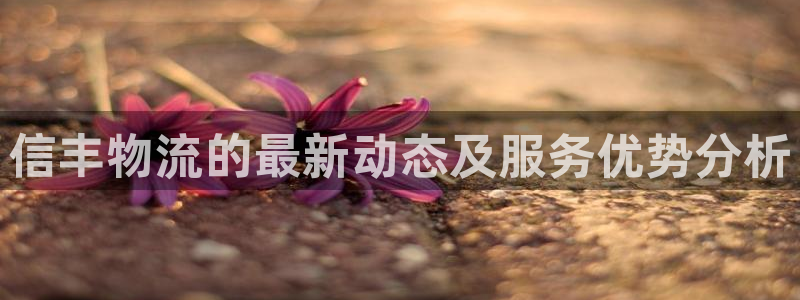 tp钱包被盗怎么联系客服