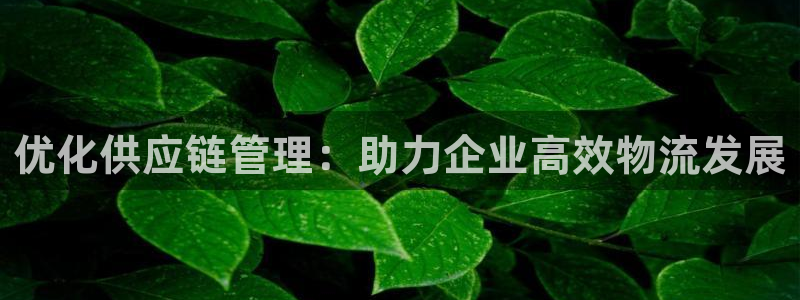 tptp官方正版下载安装：优化供应链