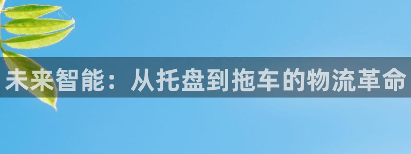 TP钱包App苹果版