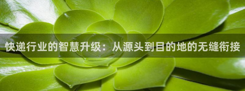 tp钱包提币手续费：快递行业的智慧升