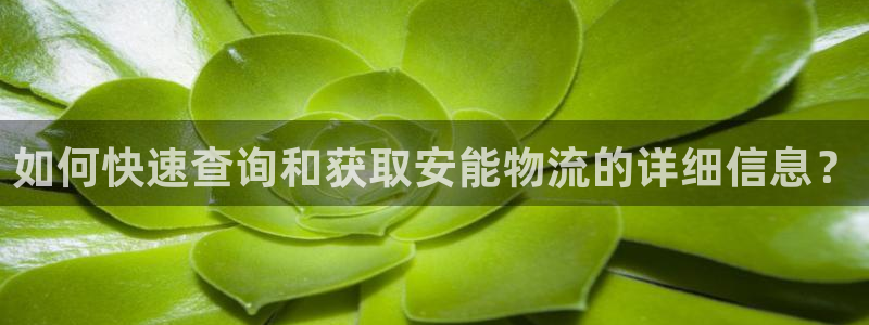 tp多链钱包最新版下载：如何快速查询