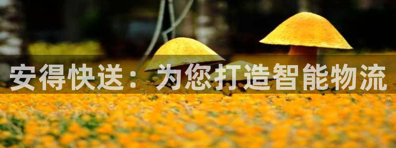 tp钱包打不开了币会丢吗：安得快送：