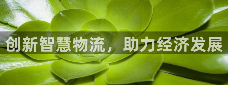 tp钱包免密支付：创新智慧物流，助力