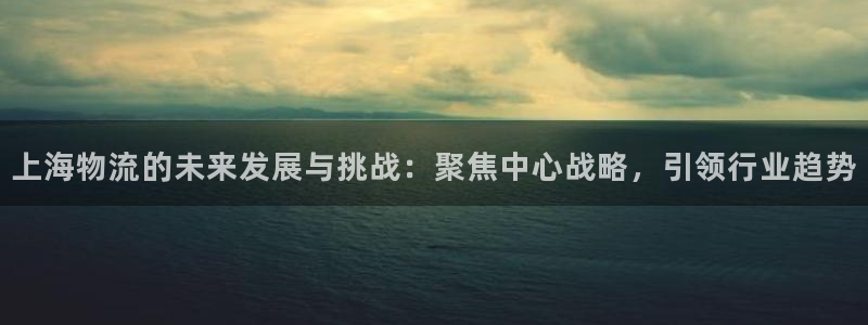 什么叫tp钱包：上海物流的未来发展与