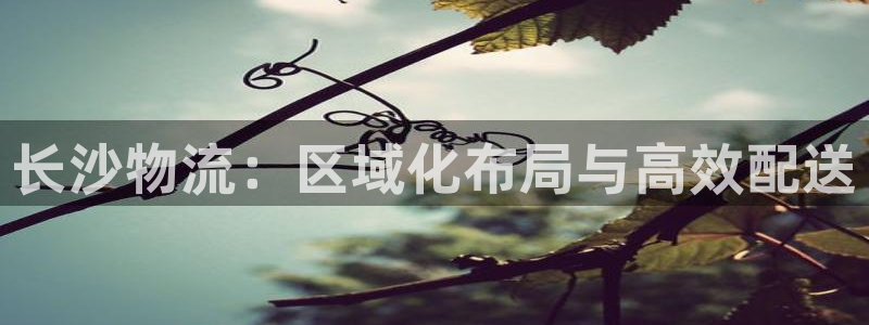 TP钱包跑路了吗：长沙物流：区域化布
