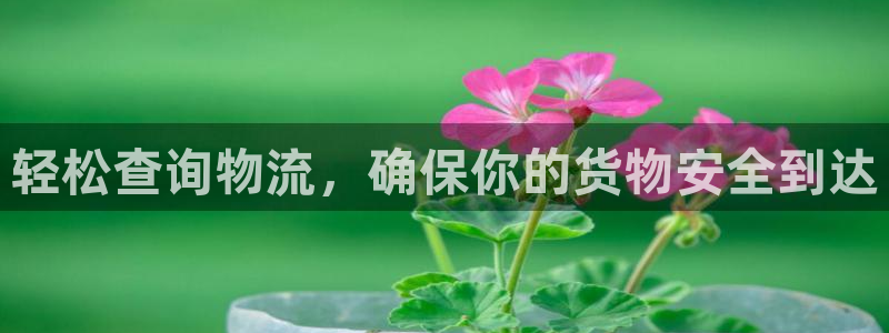 tp钱包app手机号在哪里找出来的：