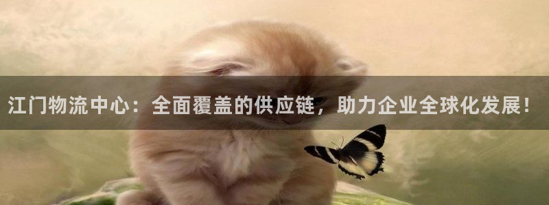 tp钱包问题：江门物流中心：全面覆盖