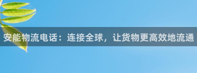 tp钱包有啥用：安能物流电话：连接全