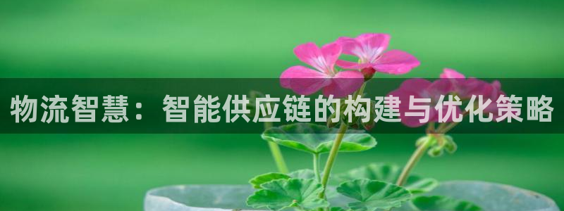tp钱包转入usdt：物流智慧：智能