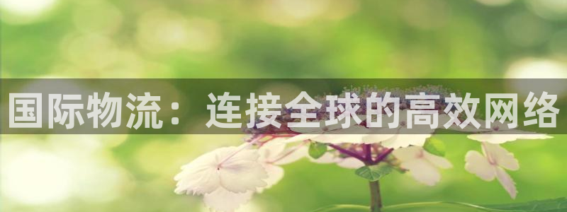 tp钱包怎么充值eth矿工费