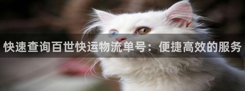 tp钱包授权：快速查询百世快运物流单