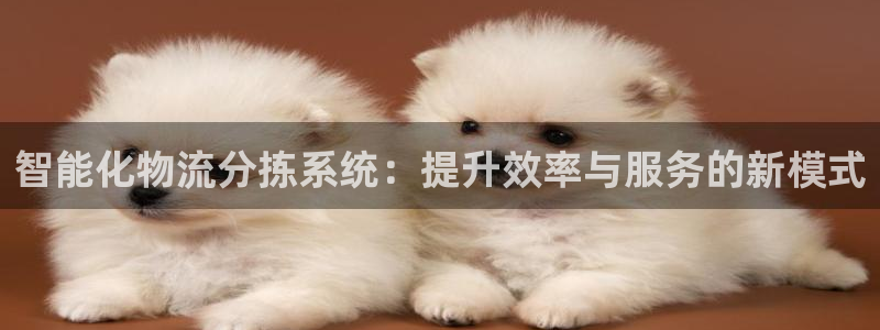tp钱包内部转账：智能化物流分拣系统