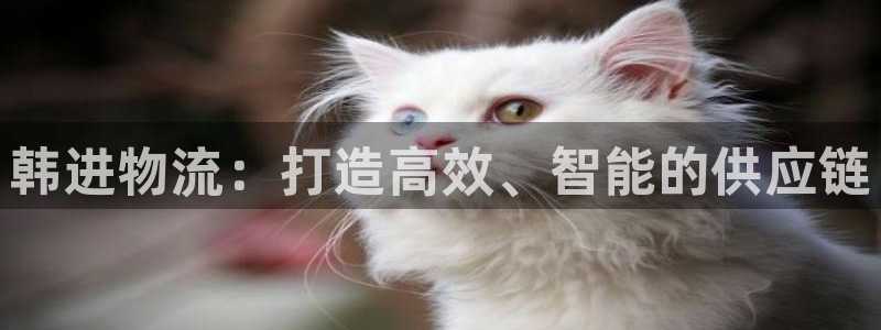 tp钱包买sol