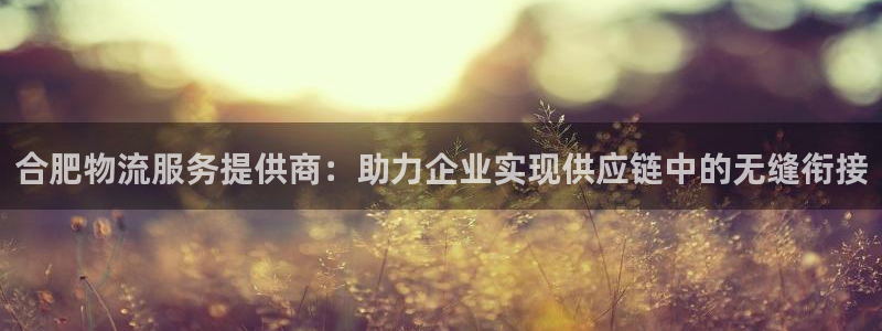 安卓下载tp钱包视频教程：合肥物流服