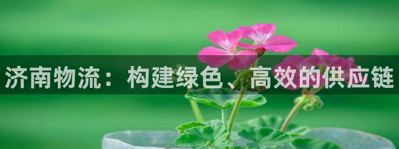tp钱包赚钱吗
