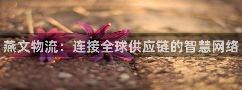 tp钱包中国大陆用户不能用了：燕文物