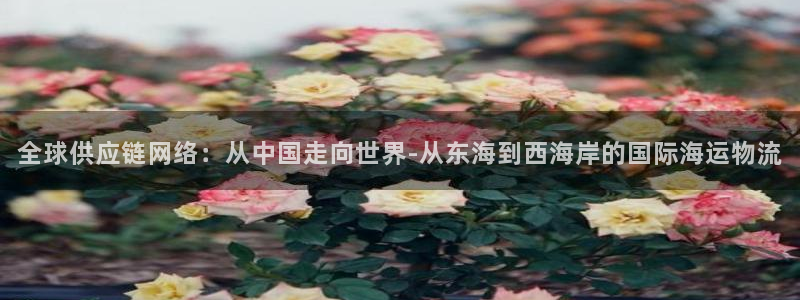 tp钱包登录有密码吗：全球供应链网络