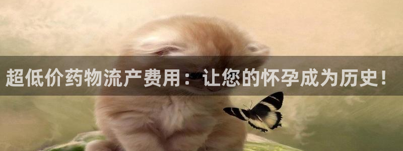 tp钱包BNB转到其他地址怎么追踪：