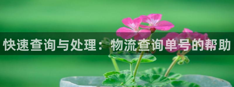 tp多签钱包怎么破解：快速查询与处理