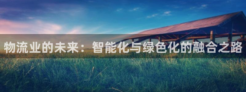 tp钱包卖pig：物流业的未来：智能