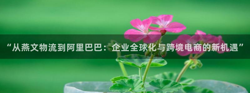 tp钱包官网：“从燕文物流到阿里巴巴