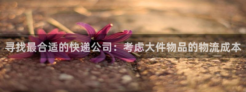 tp多链钱包