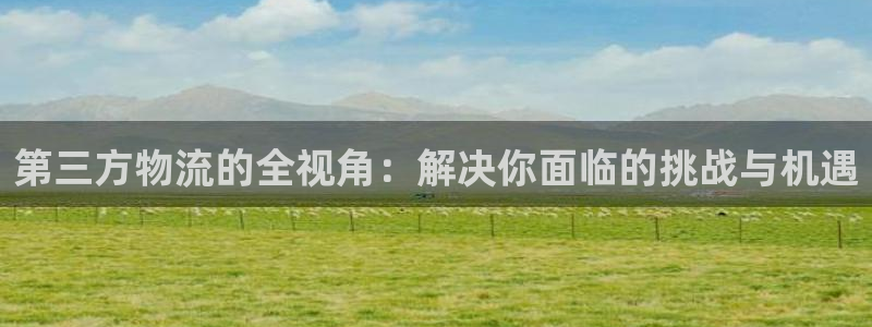 tp钱包怎么删除钱包：第三方物流的全