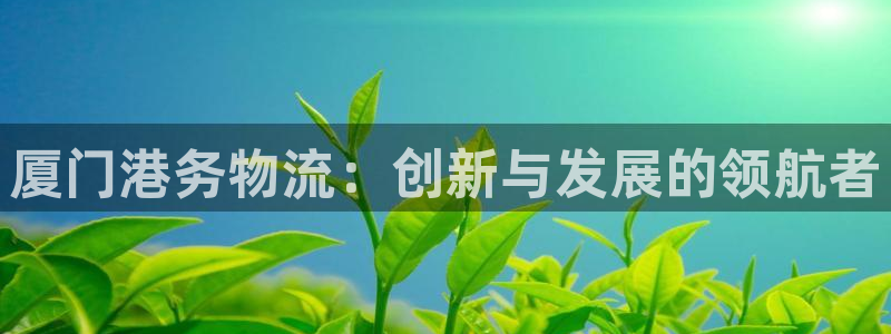 tp钱包跨链闪兑打不开：厦门港务物流