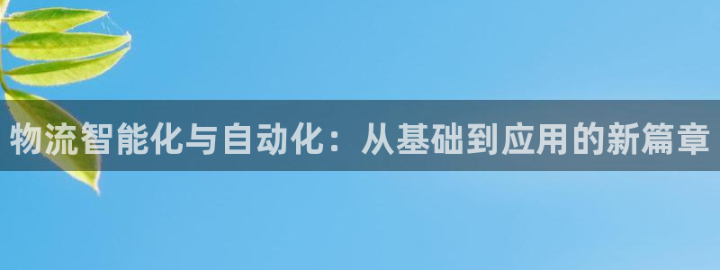 Tp区块链钱包：物流智能化与自动化：