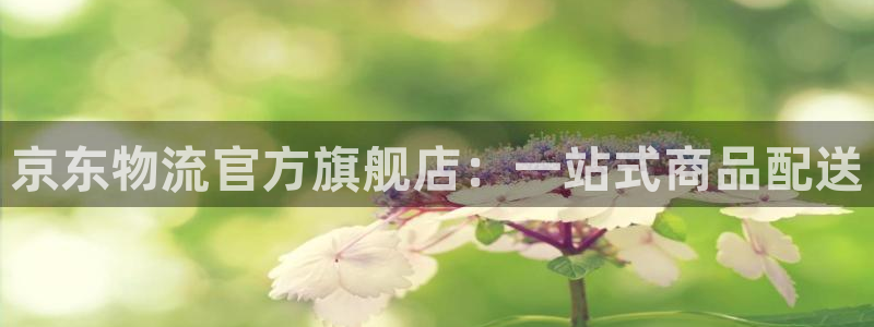 tp200v4.7.14软件：京东物