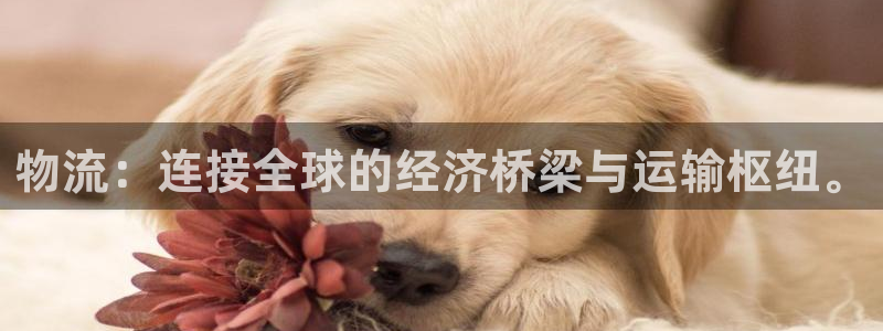 tp钱包密码设置
