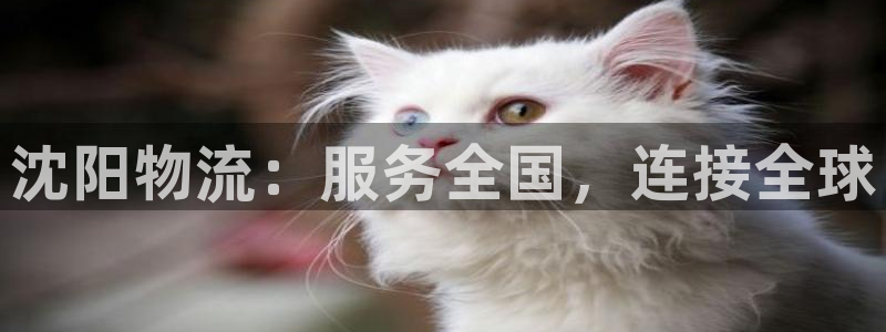 tp钱包 你所在的国家和地区不可用：