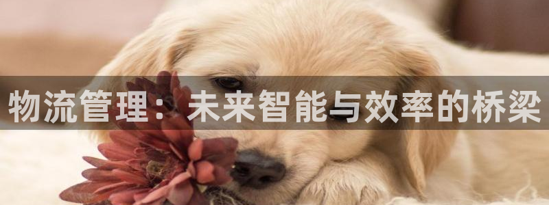 tp钱包官方网