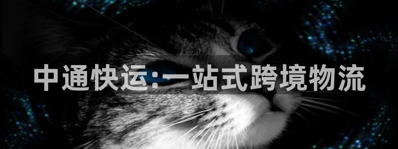 tp钱包被盗追回的几率大吗安全吗：中