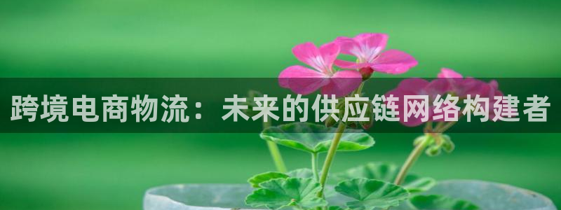 tp钱包API接口：跨境电商物流：未