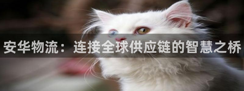 tp钱包的助记词