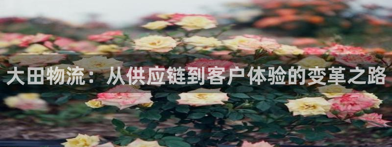 tp钱包里的钱怎么转到交易所：大田物
