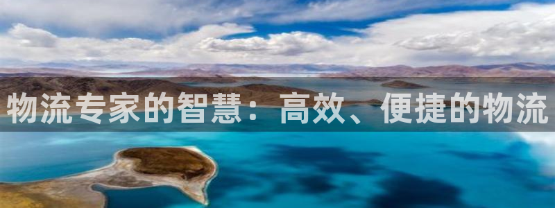 tp钱包跨链成功却不到账：物流专家的