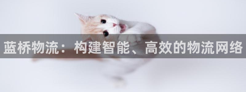 TP.钱包是哪国创建的?：蓝桥物流：构建智能、高效的物流网络