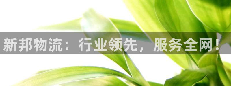 tp钱包苹果最新版下载：新邦物流：行