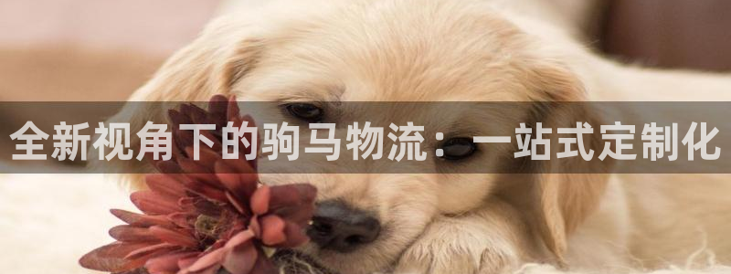 tp钱包app合法吗：全新视角下的驹