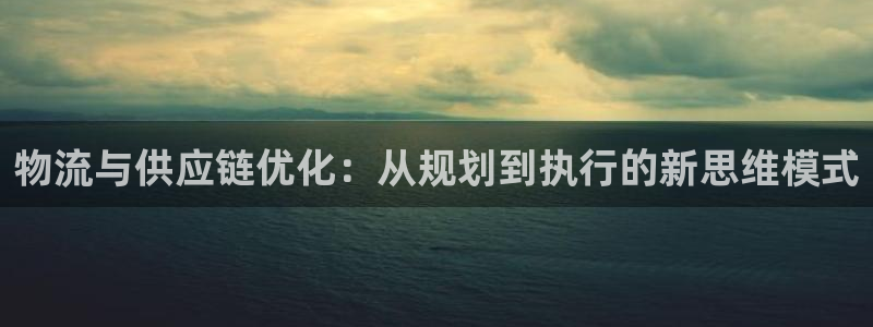 tp钱包转错账：物流与供应链优化：从