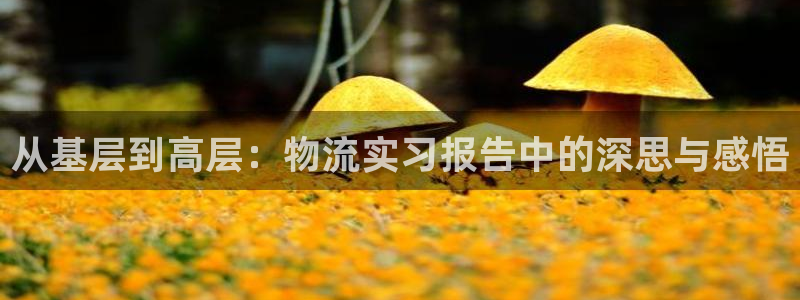 tp 钱包可以再次注册吗：从基层到高