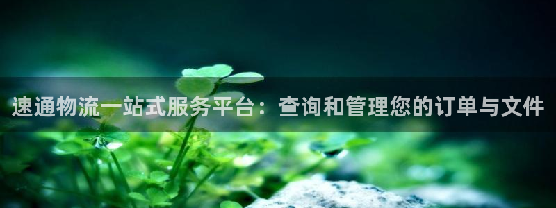 tp钱包usdt怎么兑换ht：速通物
